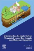 Understanding Geologic Carbon Sequestration and Gas Hydrate from Molecular Simulation