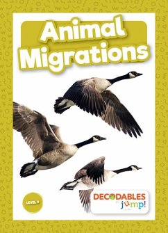Animal Migrations - Brundle, Harriet