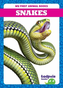 Snakes - Deniston, Natalie