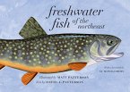 Freshwater Fish of the Northeast