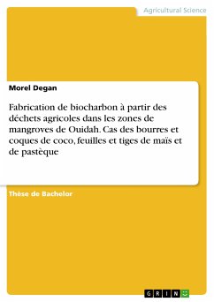 Fabrication de biocharbon à partir des déchets agricoles dans les zones de mangroves de Ouidah. Cas des bourres et coques de coco, feuilles et tiges de maïs et de pastèque (eBook, PDF)