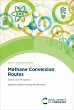 Methane Conversion Routes (eBook, ePUB) - Bild 1