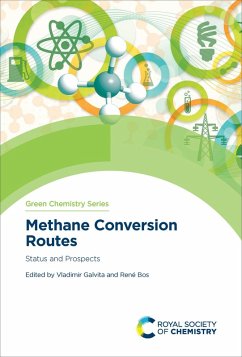 Methane Conversion Routes (eBook, ePUB)