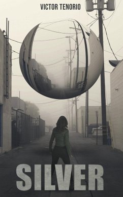 Cover Silver (eBook, ePUB)