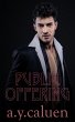 Public Offering (eBook, ePUB) - Bild 1