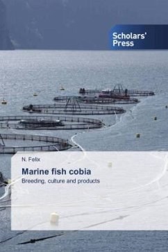Marine fish cobia - Felix, N.