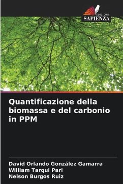 Quantificazione della biomassa e del carbonio in PPM - González Gamarra, David Orlando;Tarqui Pari, William;Burgos Ruiz, Nelson