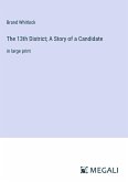 The 13th District; A Story of a Candidate