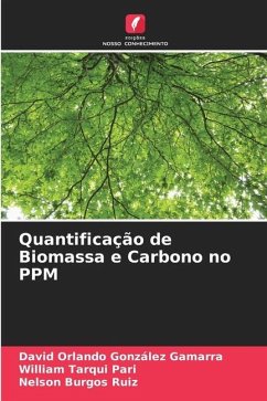 Quantificação de Biomassa e Carbono no PPM - González Gamarra, David Orlando;Tarqui Pari, William;Burgos Ruiz, Nelson