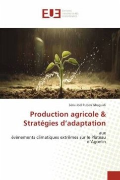 Production agricole & Stratégies d¿adaptation - Gbaguidi, Sèna Joël Ruben