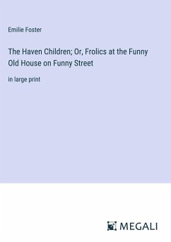 The Haven Children; Or, Frolics at the Funny Old House on Funny Street - Foster, Emilie