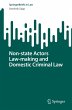 Non-state Actors Law-making and... - Bild 1