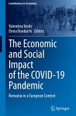 The Economic and Social Impact of the COVID-19 Pandemic