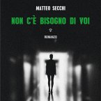 Non c'è bisogno di VOI (MP3-Download)