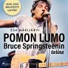 Pomon lumo – Bruce Springsteenin... - Bild 1