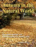 Autumn in the Natural World (Land and Sky, #1) (eBook, ePUB)