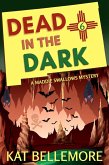 Dead in the Dark (A Maddie Swallows Mystery, #6) (eBook, ePUB)