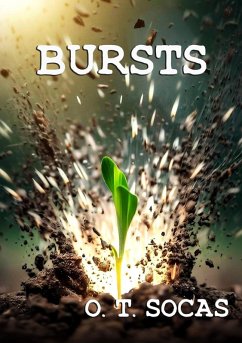Cover Bursts (eBook, ePUB)