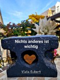 Nichts anderes ist wichtig (eBook, ePUB)