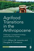 Agrifood Transitions in the Anthropocene (eBook, ePUB)