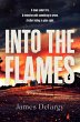 Into the Flames (eBook, ePUB) - Bild 1