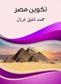 Egypt formation (eBook, ePUB)