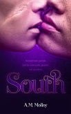 South (eBook, ePUB)