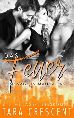 Cover Das Feuer (eBook, ePUB)