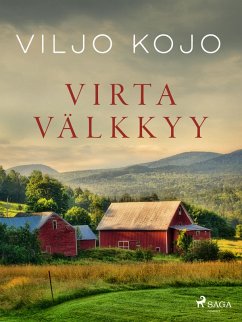 Cover Virta välkkyy (eBook, ePUB)