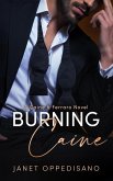 Burning Caine (Caine & Ferraro, #1) (eBook, ePUB)