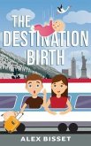 The Destination Birth (eBook, ePUB)