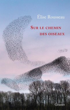 Sur le chemin des oiseaux (eBook, ePUB) - Rousseau, Élise