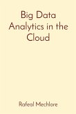 Big Data Analytics in the Cloud