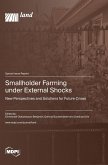 Smallholder Farming under External Shocks