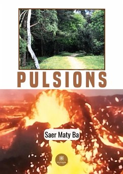 Pulsions - Saer Maty Ba