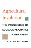 Agricultural Involution (eBook, ePUB)