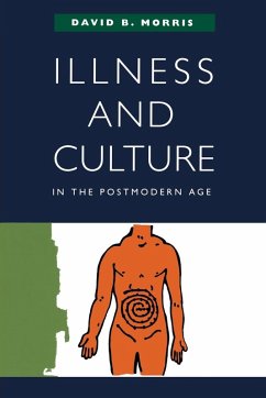 Cover Illness and Culture in the Postmodern Age (eBook, ePUB)