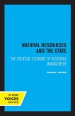 Natural Resources and the State (eBook, ePUB)