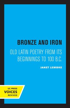 Bronze and Iron (eBook, ePUB) - Lembke, Janet