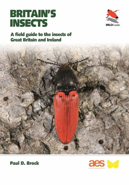 Britain's Insects (eBook, ePUB) Britain's Insects (eBook, ePUB)
