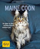 Maine Coon (Mängelexemplar)
