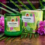 Learn the Art of Candlemaking (Complete online candlemaking course, #10) (eBook, ePUB)