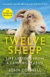 Twelve Sheep (eBook, ePUB) - Bild 1