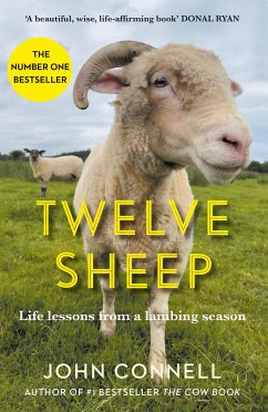 Twelve Sheep (eBook, ePUB) - Connell, John