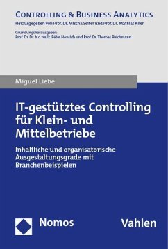 IT-gestütztes Controlling für Klein- und Mittelbetriebe - Liebe, Miguel