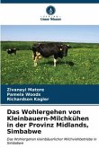 Das Wohlergehen von Kleinbauern-Milchkühen in der Provinz Midlands, Simbabwe