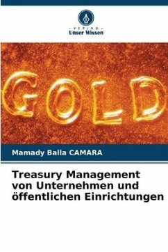 Treasury Management von Unternehmen und öffentlichen Einrichtungen - Camara, Mamady Balla