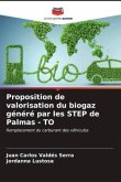 Proposition de valorisation du biogaz généré par les STEP de Palmas - TO