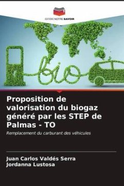 Proposition de valorisation du biogaz généré par les STEP de Palmas - TO - Valdés Serra, Juan Carlos;Lustosa, Jordanna