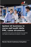 Ipotesi di business in corso nell'audit delle PMI, come strumento